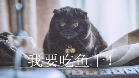 (硶꡷еè)