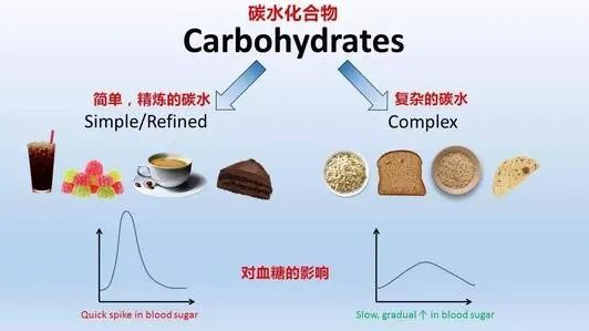 中链甘油三酯（MTC）是如何给人体充电加油的？