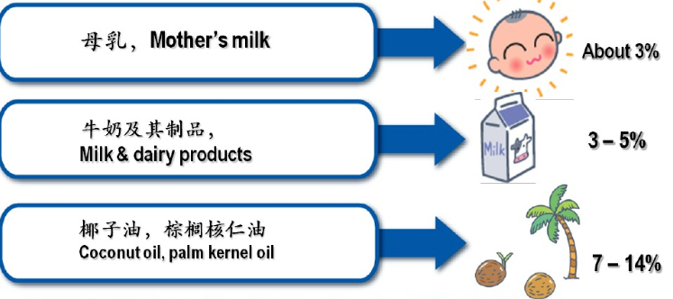 中链甘油三酯（MTC）是如何给人体充电加油的？