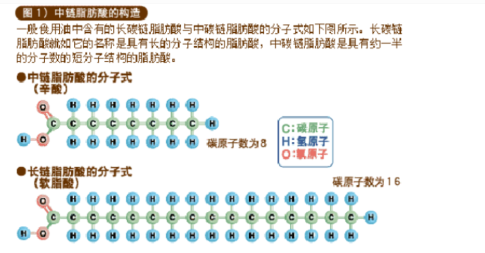 MCT中链脂肪酸